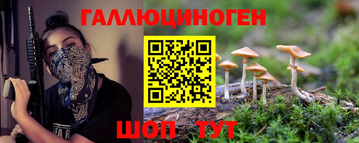 Дмитров  Псилоцибиновые грибы GOLDEN TEACHER  Вход с VPN 