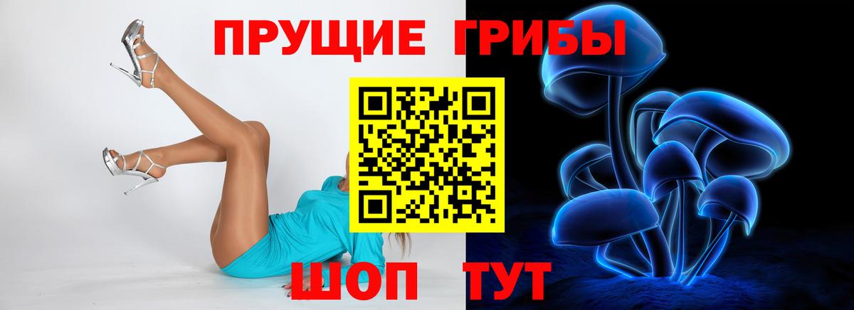 Псилоцибиновые грибы Psilocybe Дмитров